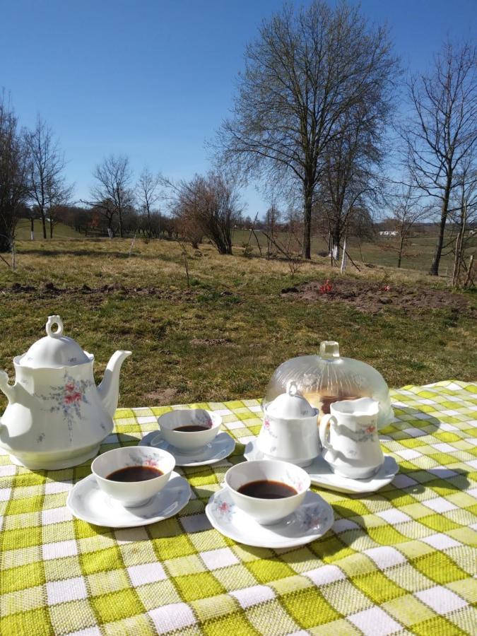 Miejsce Mocy Mazury Lägenhet Kolno  Exteriör bild