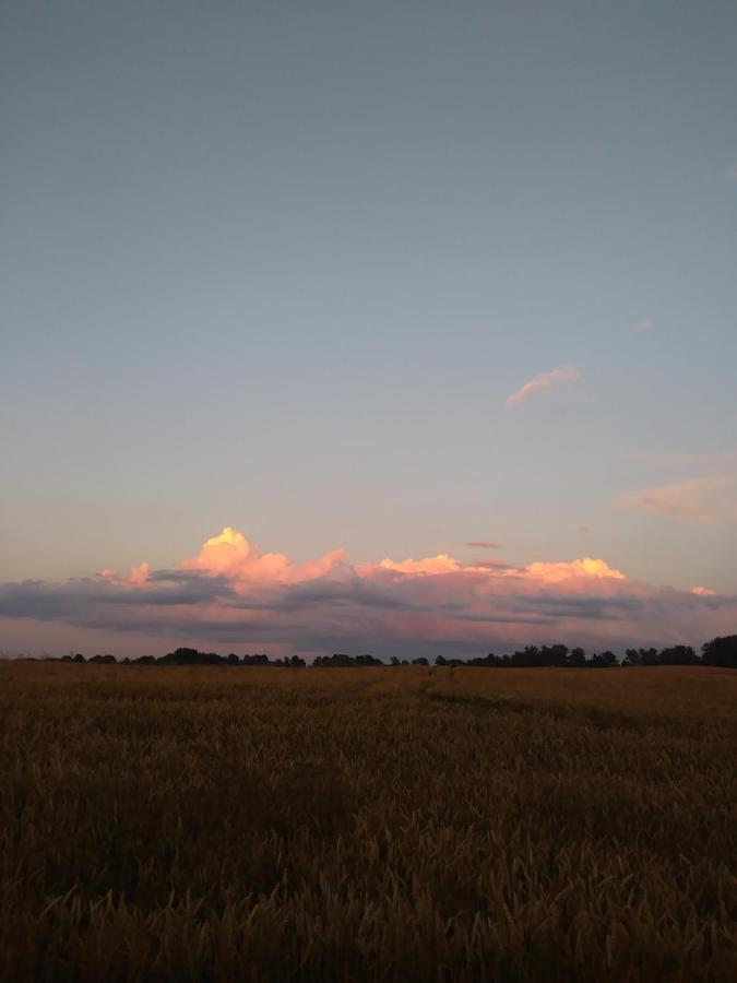 Miejsce Mocy Mazury Lägenhet Kolno  Exteriör bild