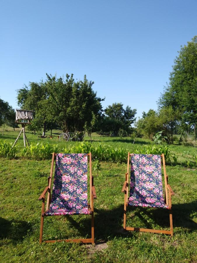 Miejsce Mocy Mazury Lägenhet Kolno  Exteriör bild