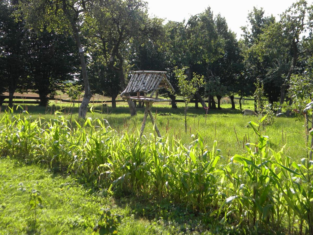 Miejsce Mocy Mazury Lägenhet Kolno  Exteriör bild